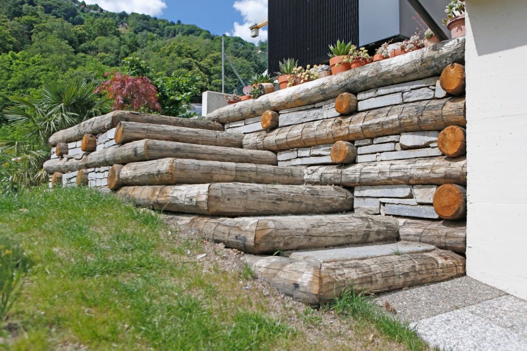 Bioggio – Edilizia forestale