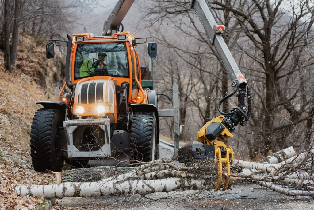 Abbattimento Alberi - Isone
